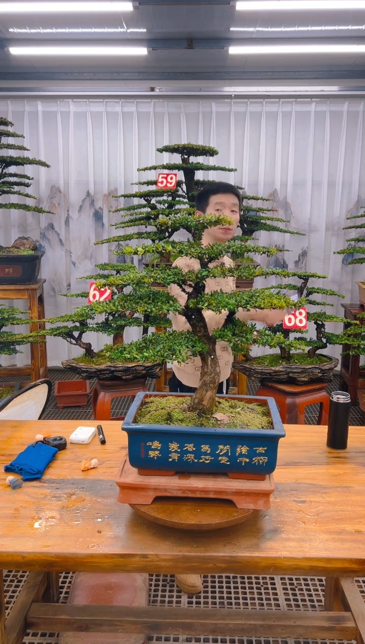 【闪购商品】紫砂精品盆景直播间一物一拍