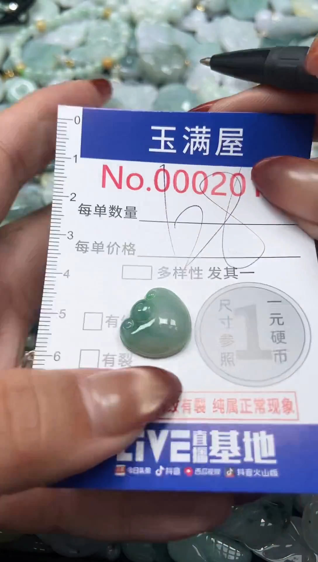 颈饰未镶嵌翡翠2013