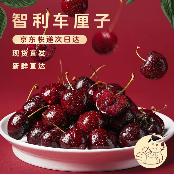 【明日达】智利2J级车厘子2斤装海运京东顺丰新鲜到家（净重1000g）