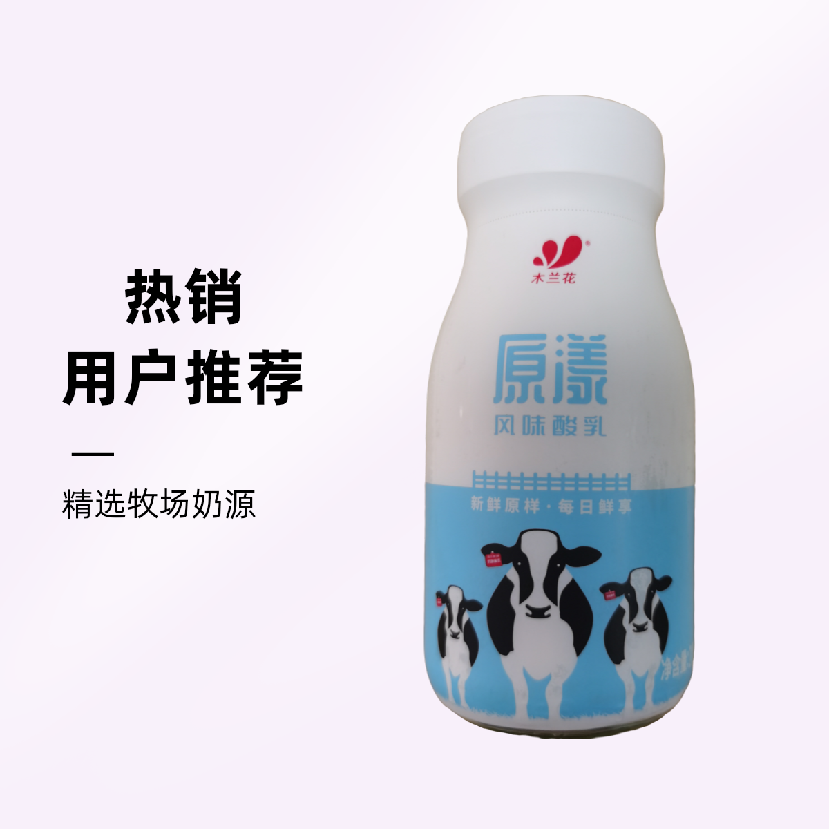 木兰花  原浆风味酸奶200克/瓶