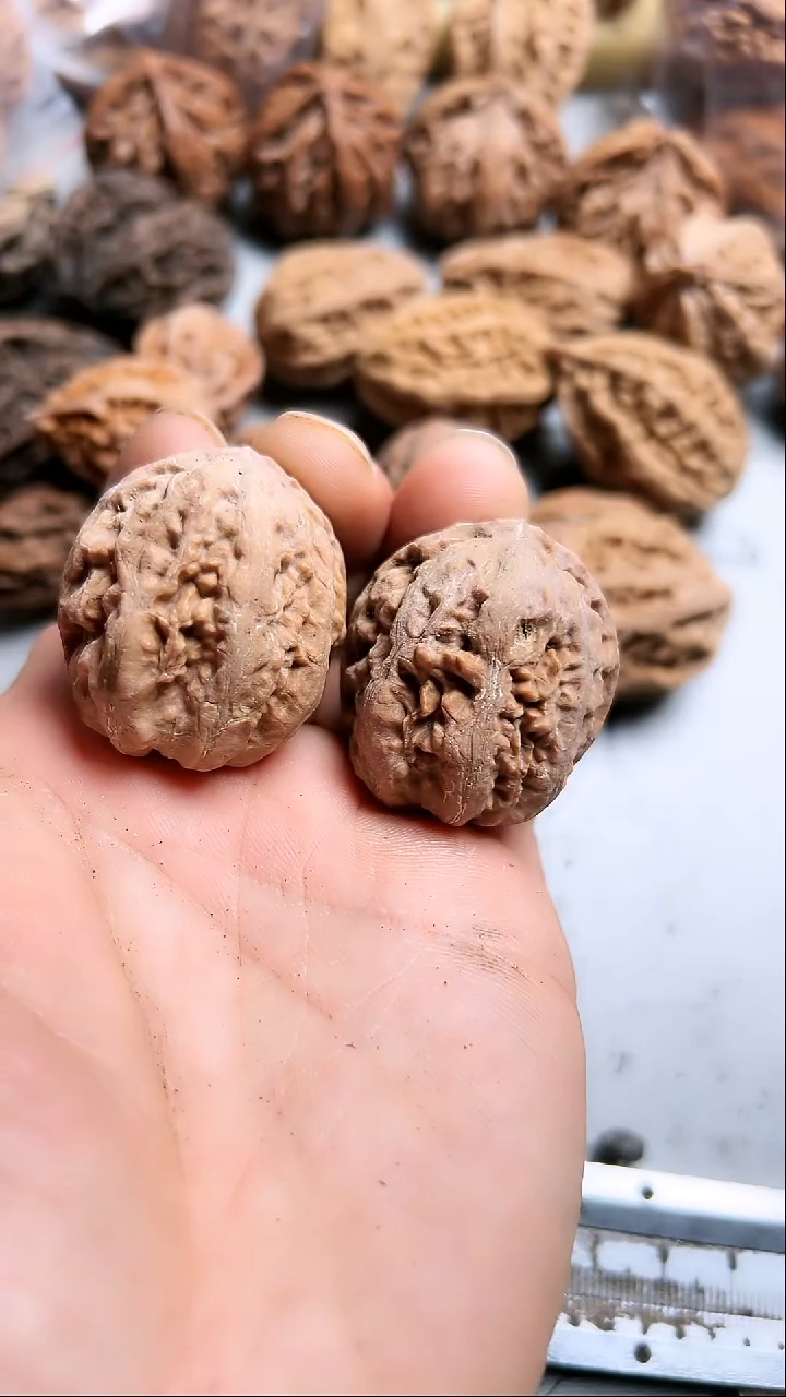 核桃东北野生大秋子5