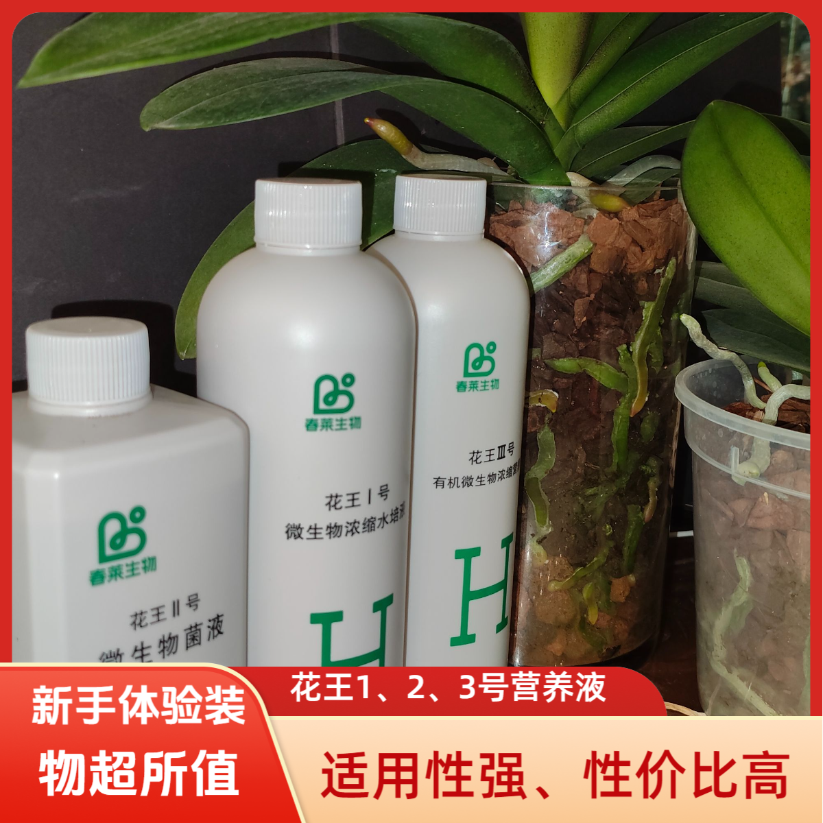 新手体验装 花王123号营养液（双12钜惠）