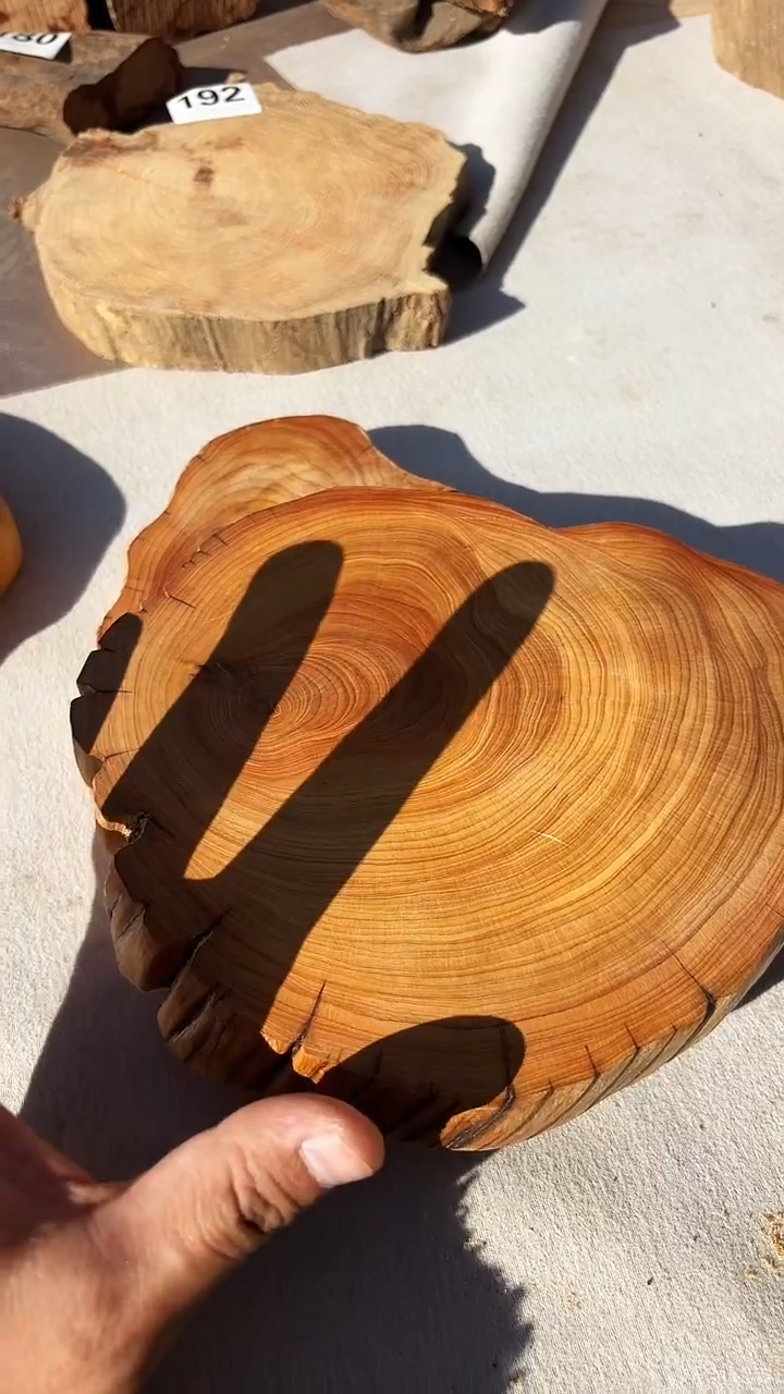 柏木（崖柏）山*太行崖柏干泡台