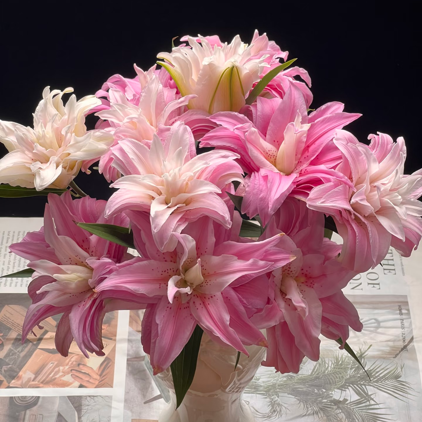 花相拾-多头【戴安娜】重瓣百合