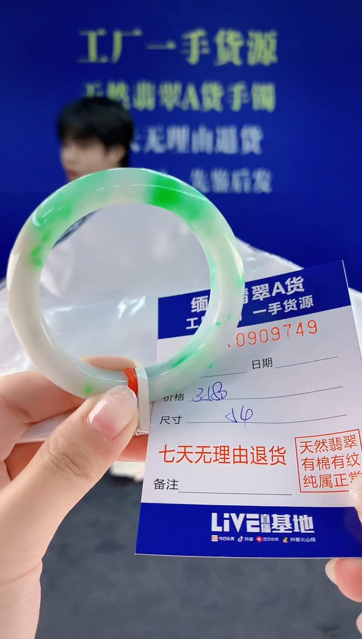 未镶嵌手镯翡翠49