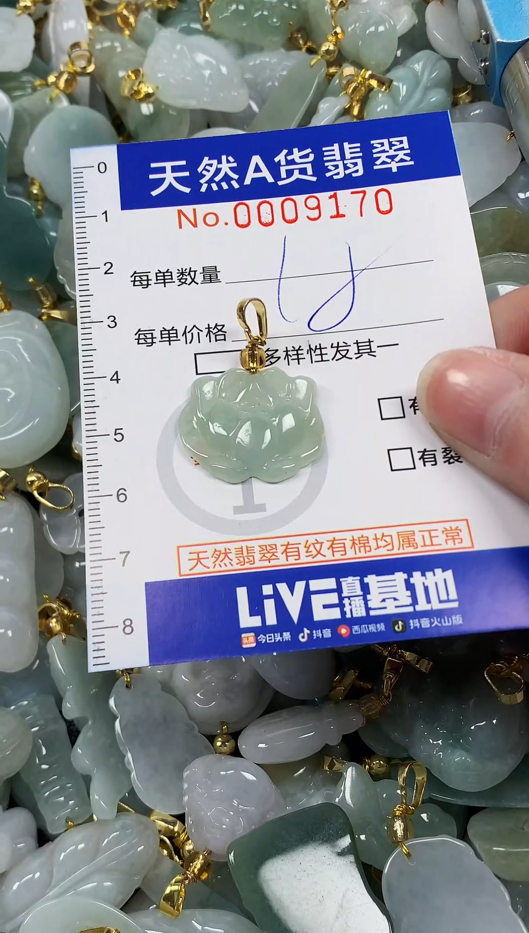 颈饰未镶嵌翡翠纯天然a货翡翠1