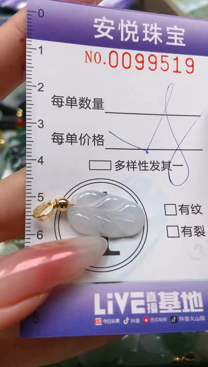 【闪购商品】翡翠颈饰未镶嵌闪购0099519