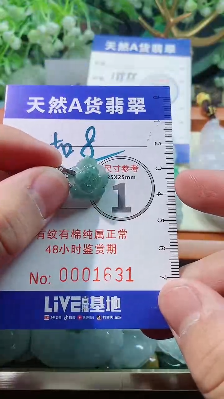 【闪购商品】翡翠颈饰未镶嵌天然A货翡翠一件