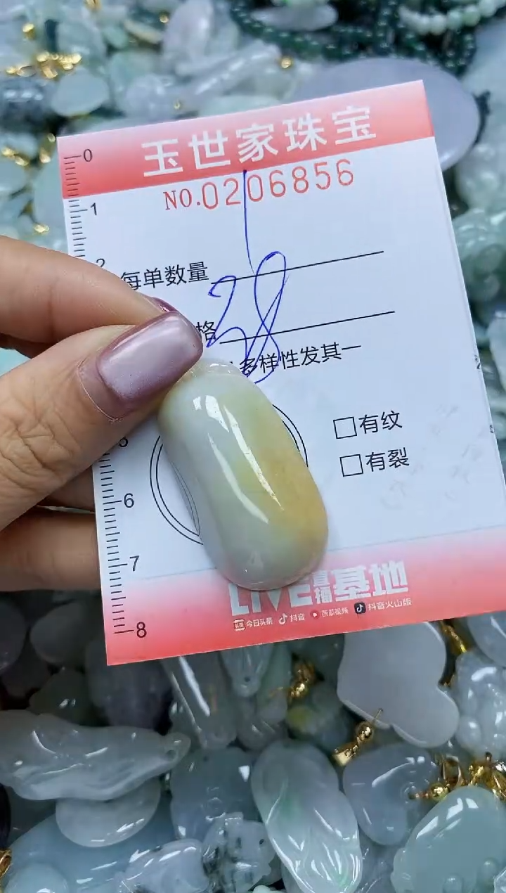 【闪购商品】翡翠颈饰未镶嵌闪购0206856