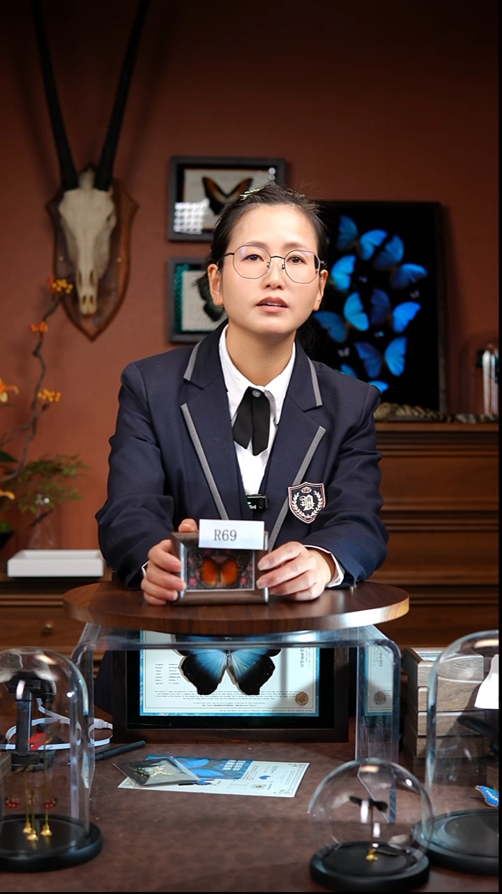 R69    红锯蛱蝶木质框冰箱贴