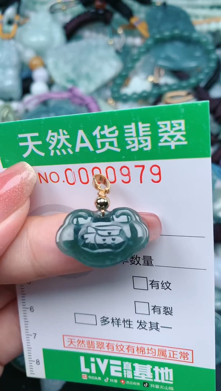 【闪购商品】翡翠颈饰未镶嵌.0000979