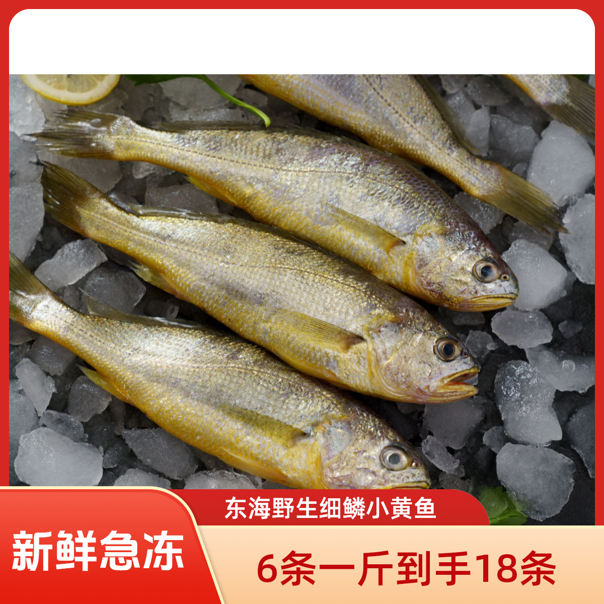 (6条/斤，到手净重3斤顺丰急冻发货 ）东海深海捕捞野生细鳞小黄鱼