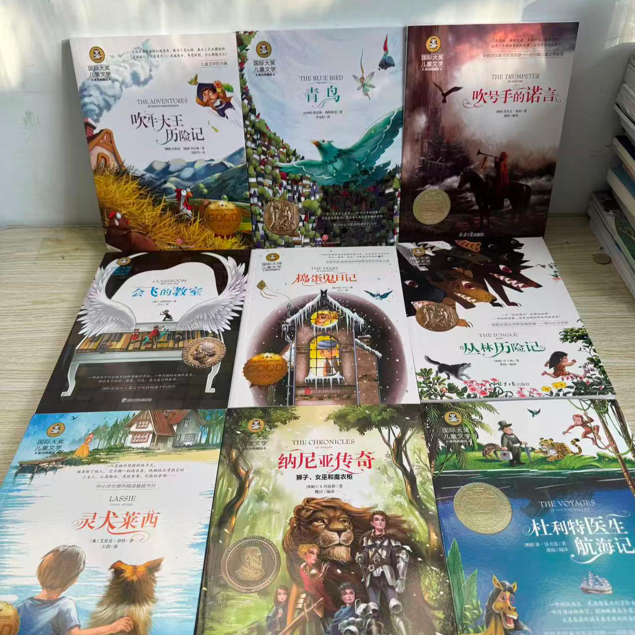 男孩必读经典国际大奖全9册（彩插）纽伯瑞安徒生诺贝尔获奖图书