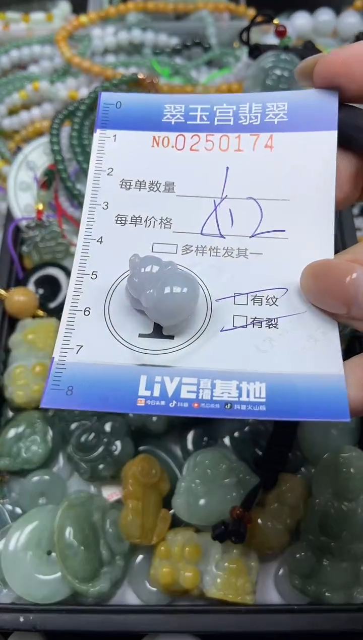 颈饰未镶嵌翡翠闪购C0250174