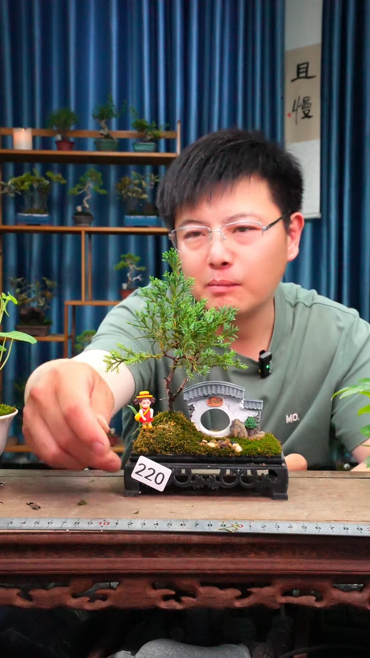 无花朵苔藓微景观220号