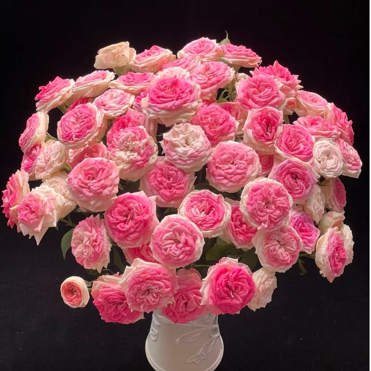 【云南鲜花】多头（午夜魔法）10枝 1单普通快递，2单以上顺丰冷链