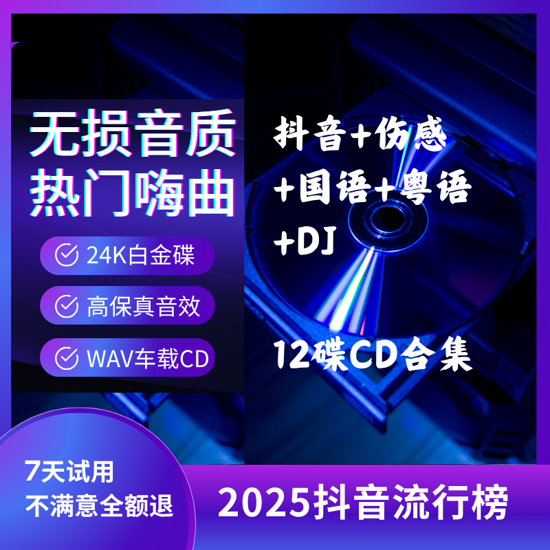 12碟WAV无损CD 流行 抖音 伤感 热门DJ 国语 粤语经典 流行音乐 