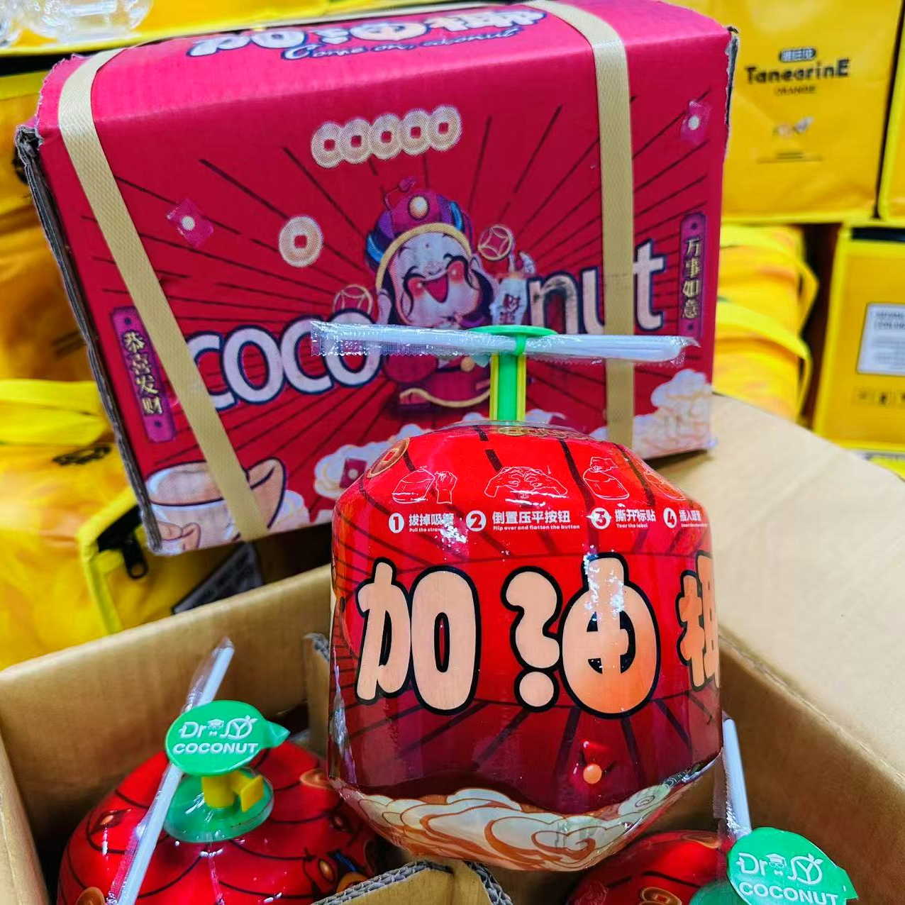 【达吾水果】加油椰易开椰青4枚装