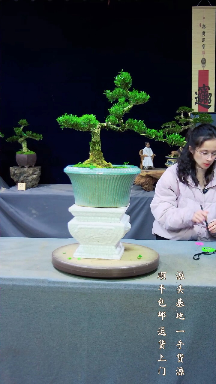 【闪购商品】黄杨盆景艺术黄杨盆景艺术