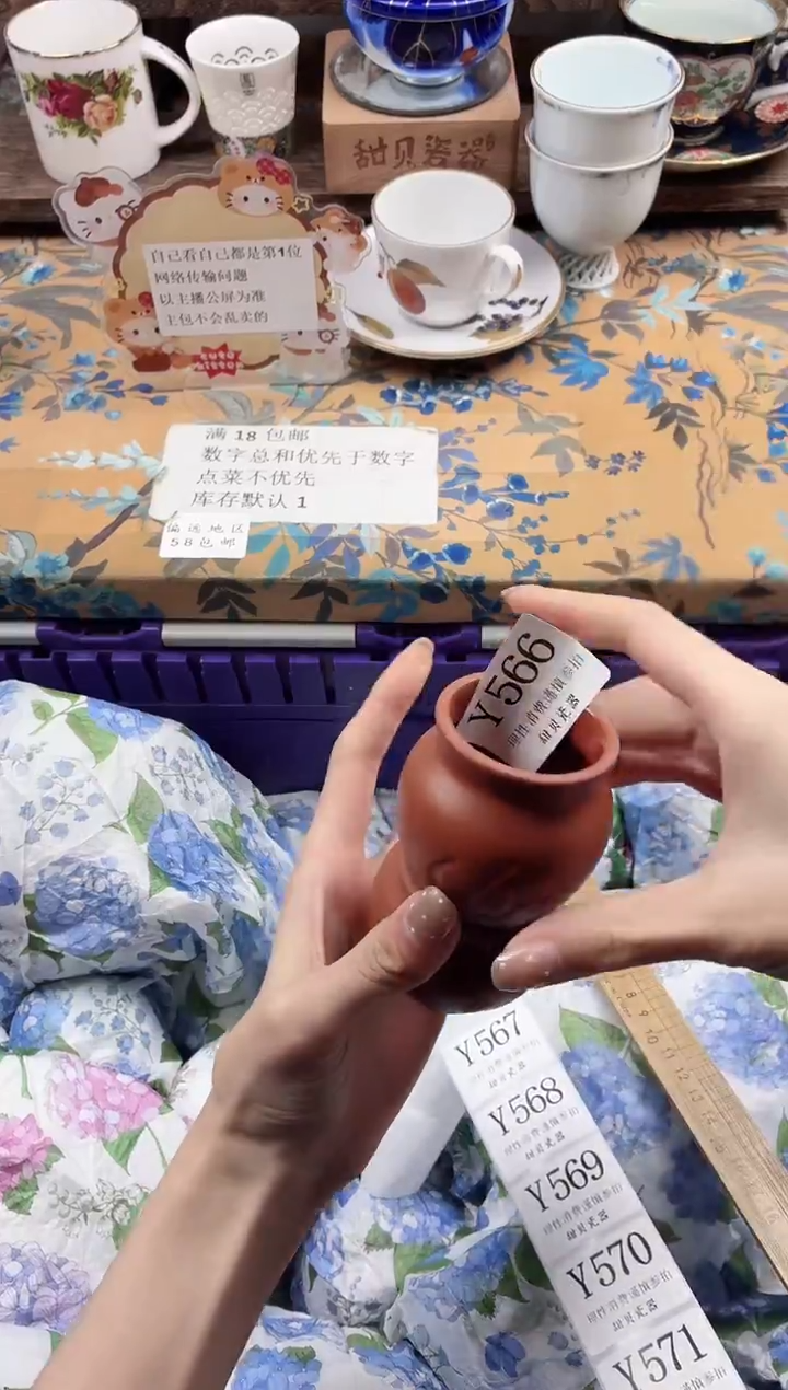 瓷片V**g                Y566