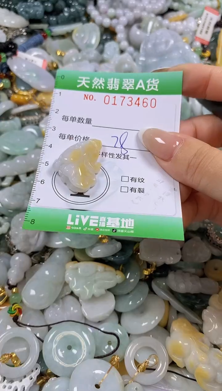 翡翠未镶嵌颈饰闪购0173460