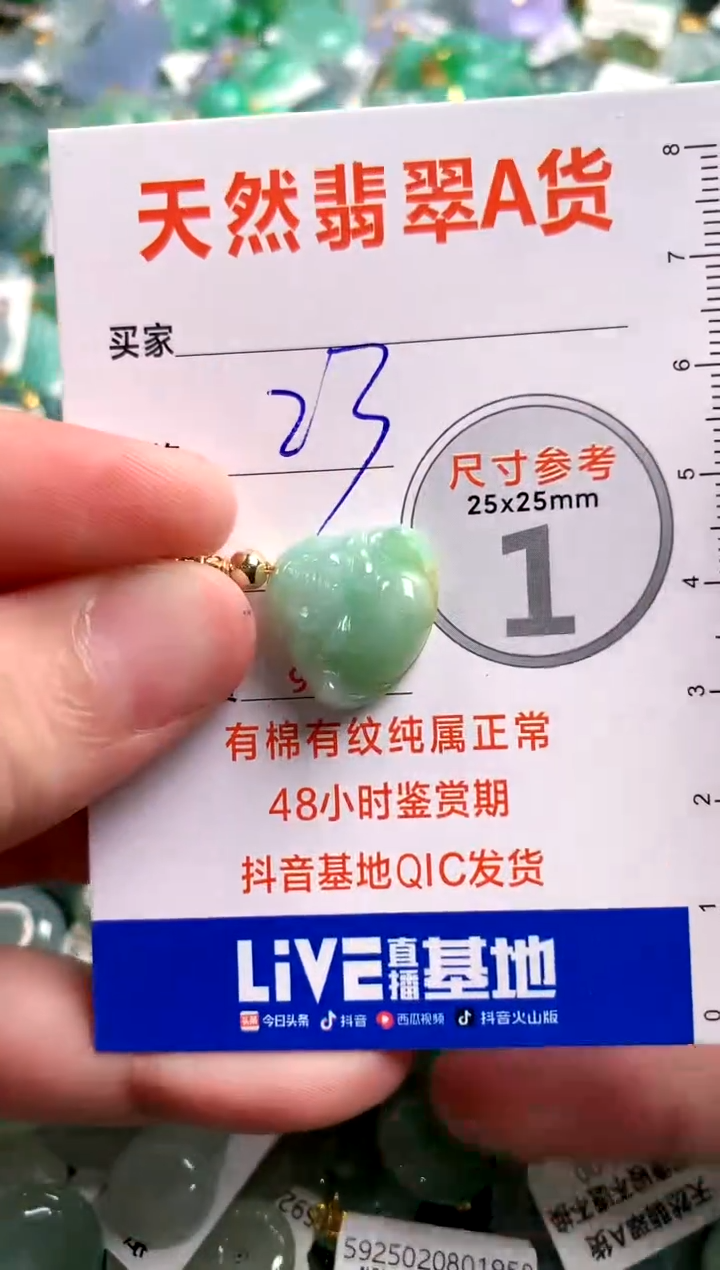 【闪购商品】翡翠颈饰未镶嵌14002927