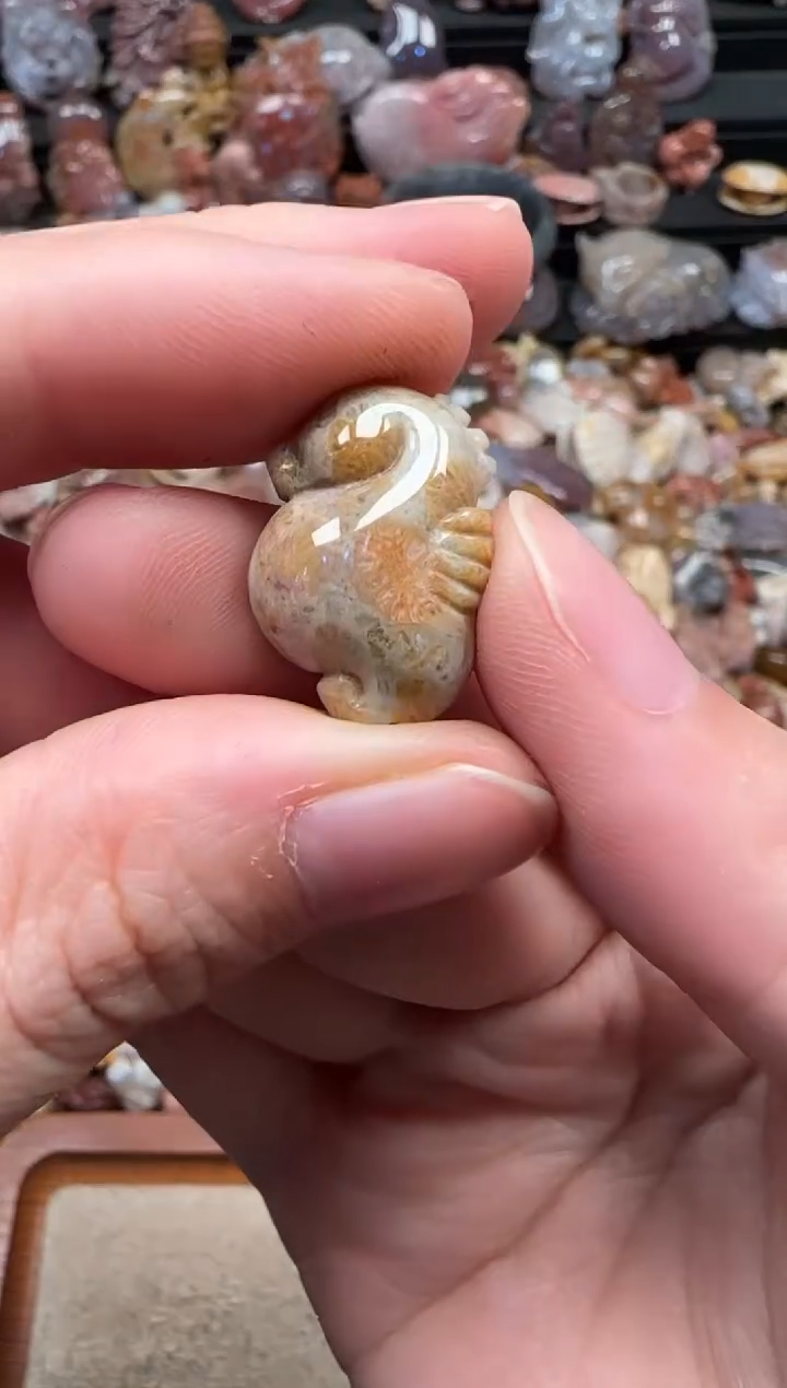 颈饰未镶嵌硅化珊瑚（珊瑚玉）060