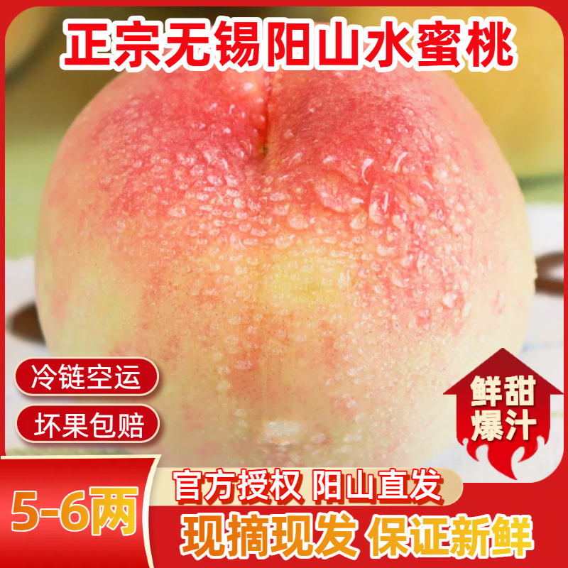 【5-6两】正宗无锡阳山水蜜桃礼盒湖景白凤新鲜甜水果多汁现摘顺丰