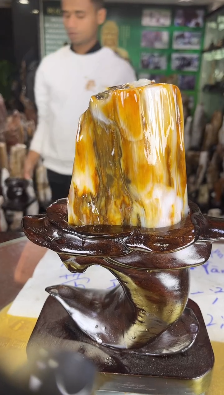 未镶嵌珠宝奇石硅化玉缅甸天然树化玉精品居家摆件