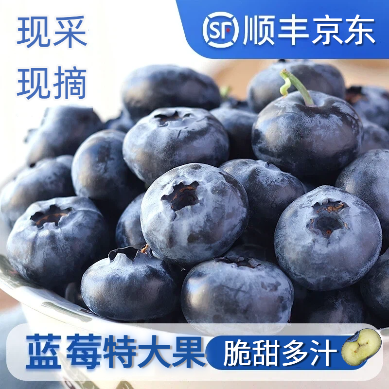 【顺丰京东】云南花香蓝莓15-18mm特大果抚仙湖黄金产区应季水果