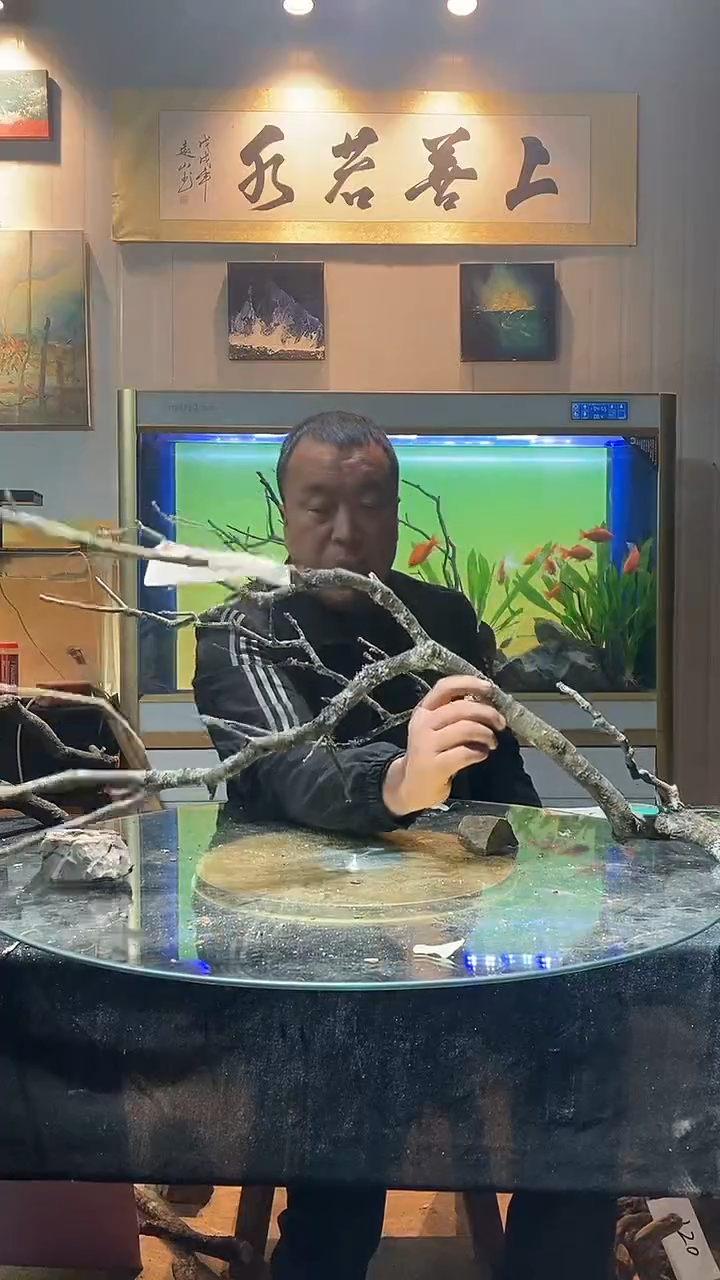 122号天然黄栎木适合90-100缸用