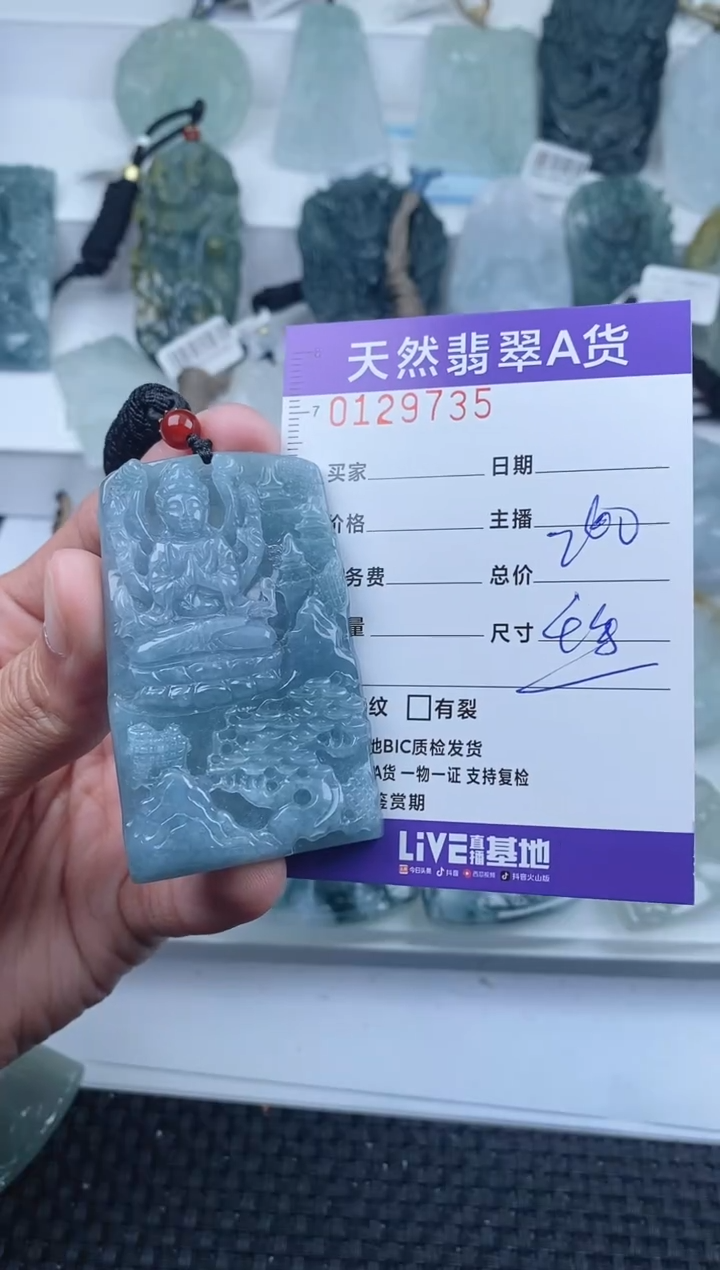 【闪购商品】翡翠颈饰未镶嵌         735