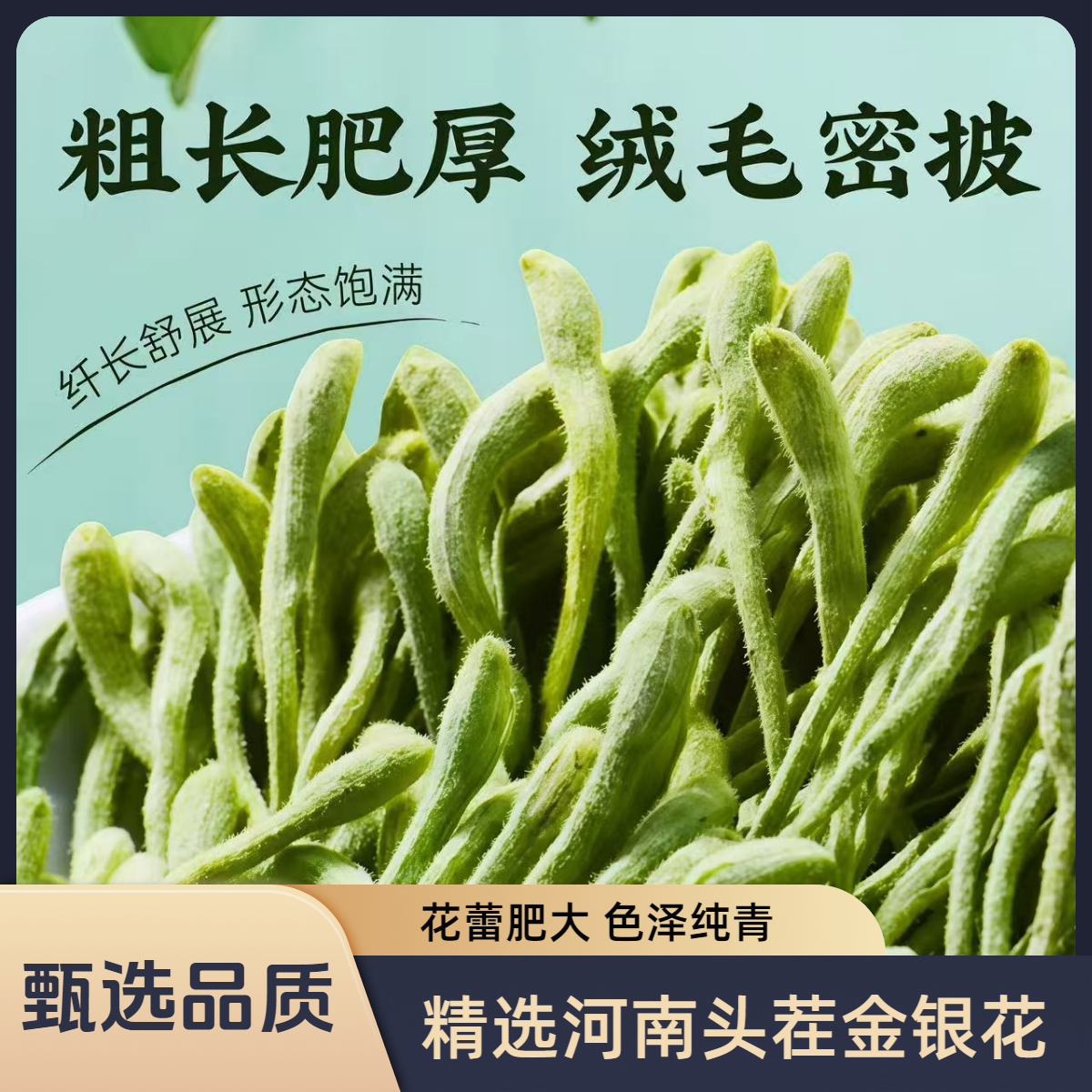 精选河南头茬纯青金银花花蕾粗壮饱满带绒毛干净无杂配枸杞泡水