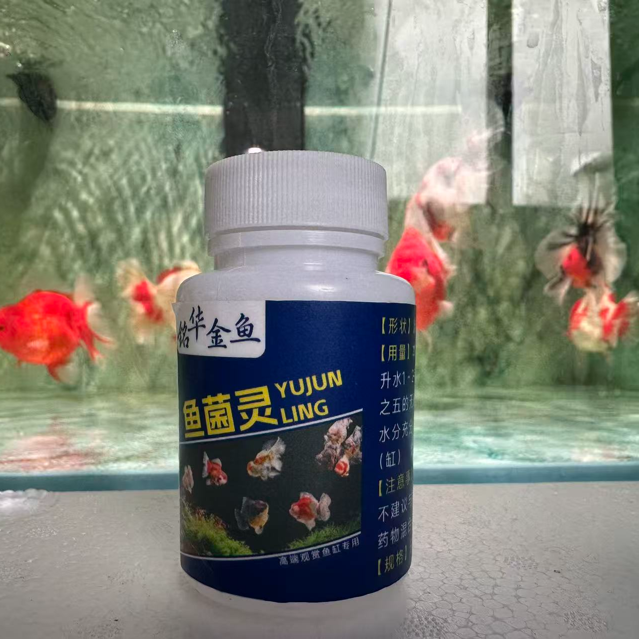 鱼类充血交叉感染烂尾烂鳍烂腮