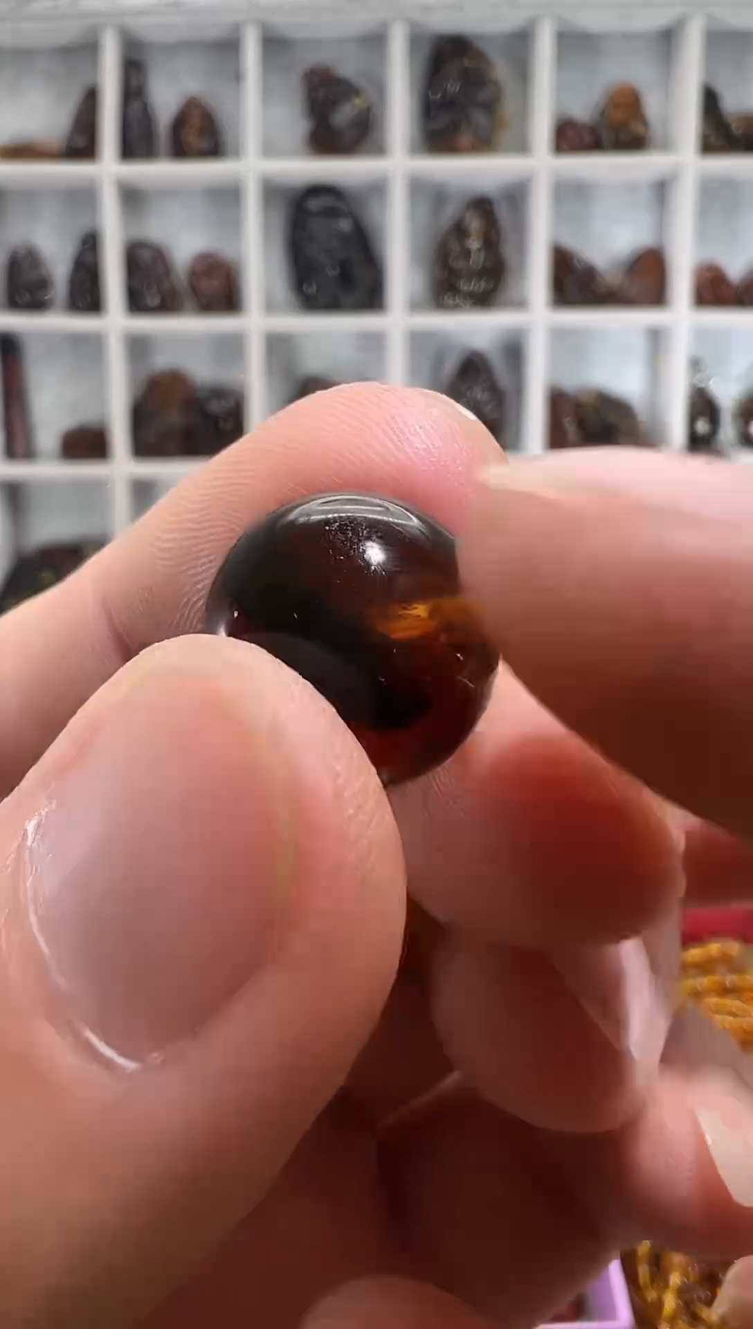 植物珀颈饰未镶嵌福*竹抚顺琥珀植物珀单珠