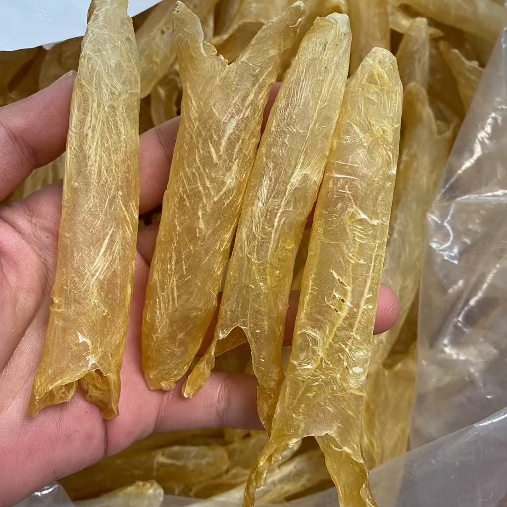 105头淡水黄花胶捡漏