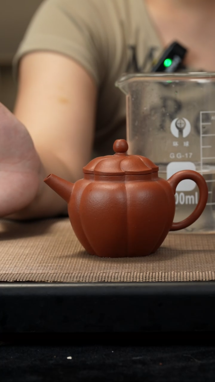 茶壶紫砂生砂朱泥筋纹秋水160cc