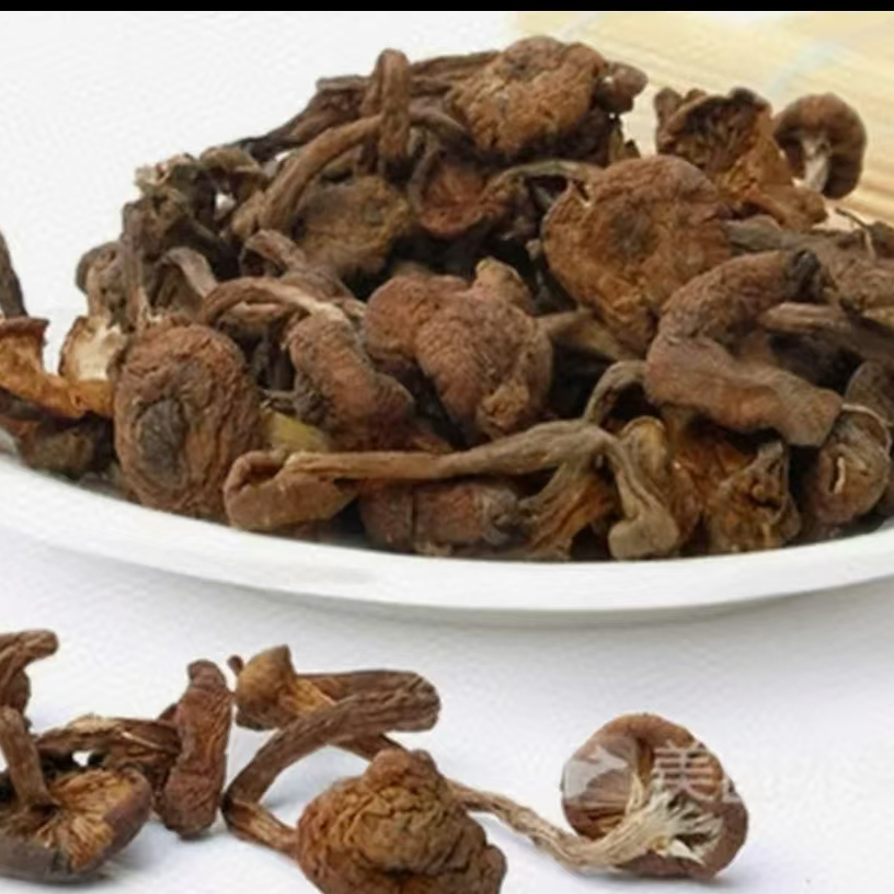 东北精品榛蘑 250g菇蘑