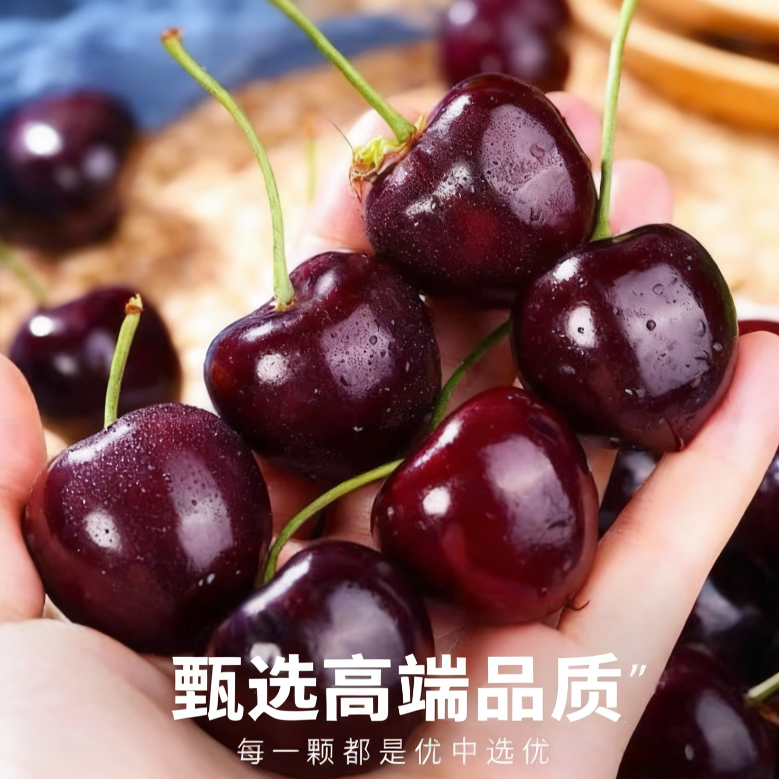 2-4JD5斤原箱智利进口桑提娜车厘子新鲜个大饱满内附果径卡海运