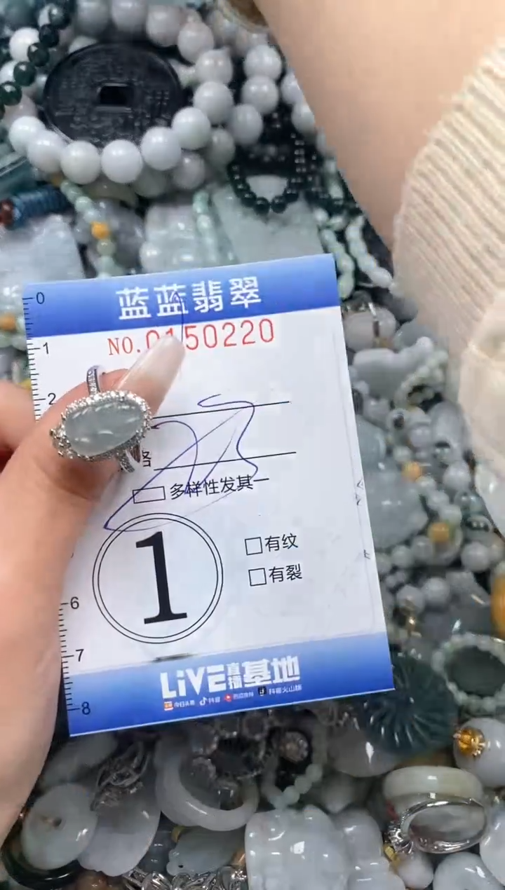 【闪购商品】翡翠颈饰未镶嵌闪购0150220多样性发其一