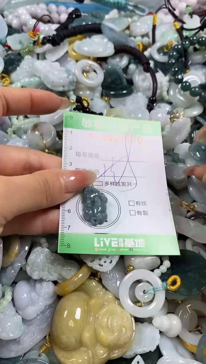 【闪购商品】翡翠颈饰未镶嵌闪购0127770多样性发其一