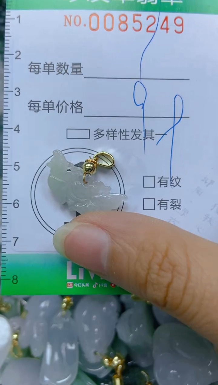 【闪购商品】翡翠颈饰未镶嵌闪购0085249