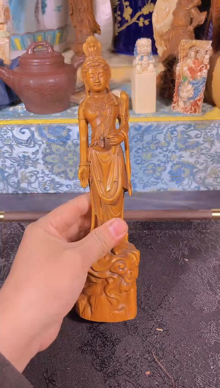 黄杨木1111111111111111