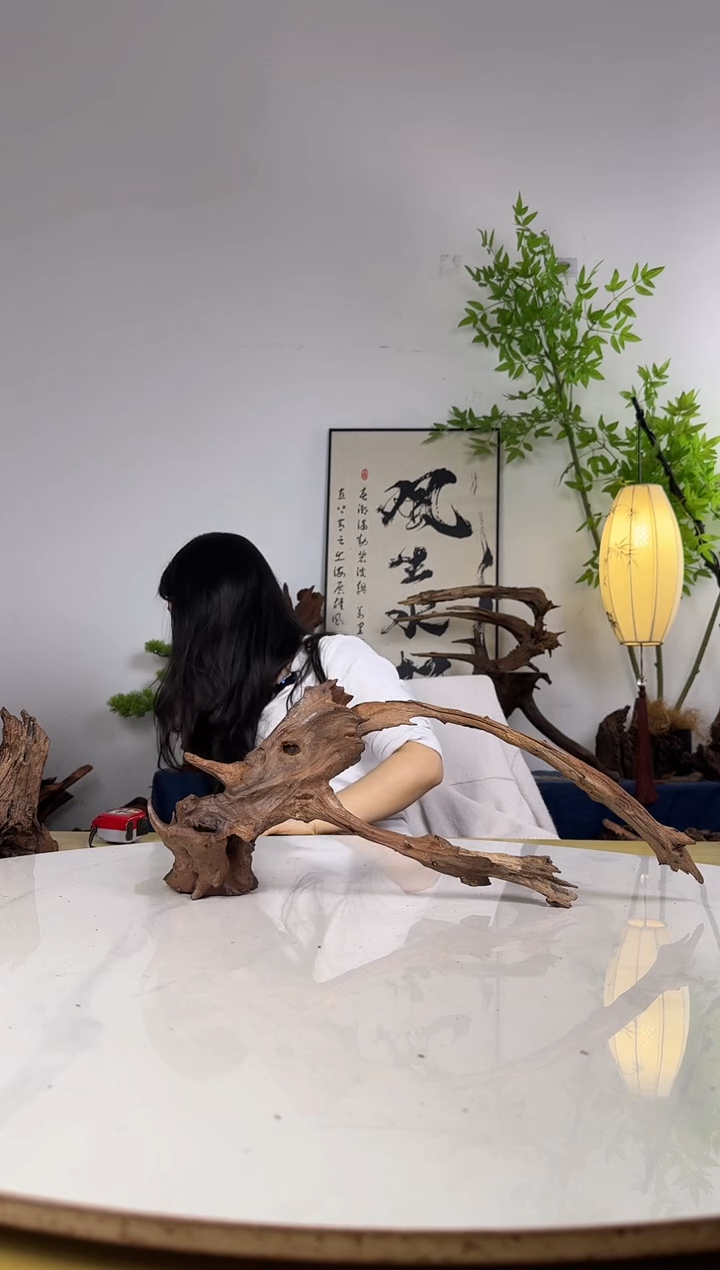 悲***须拍沉木定向链接编号19