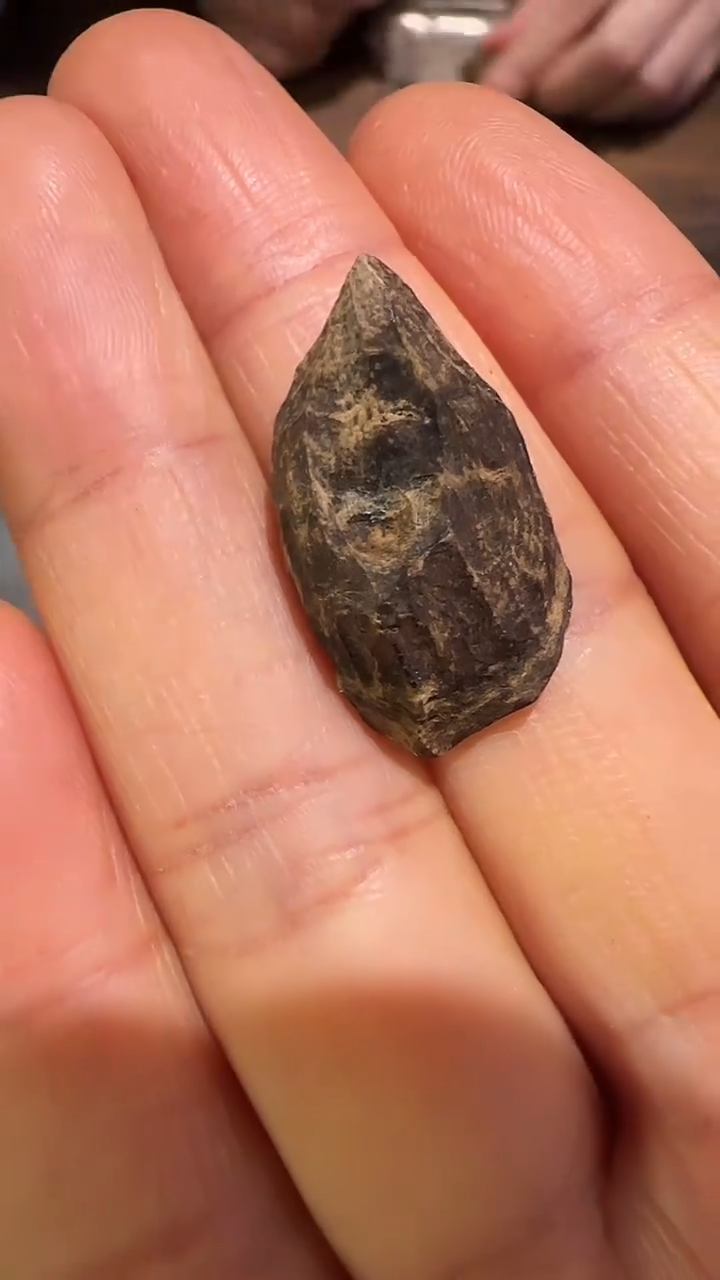 香料金三角沉水老料0.7g