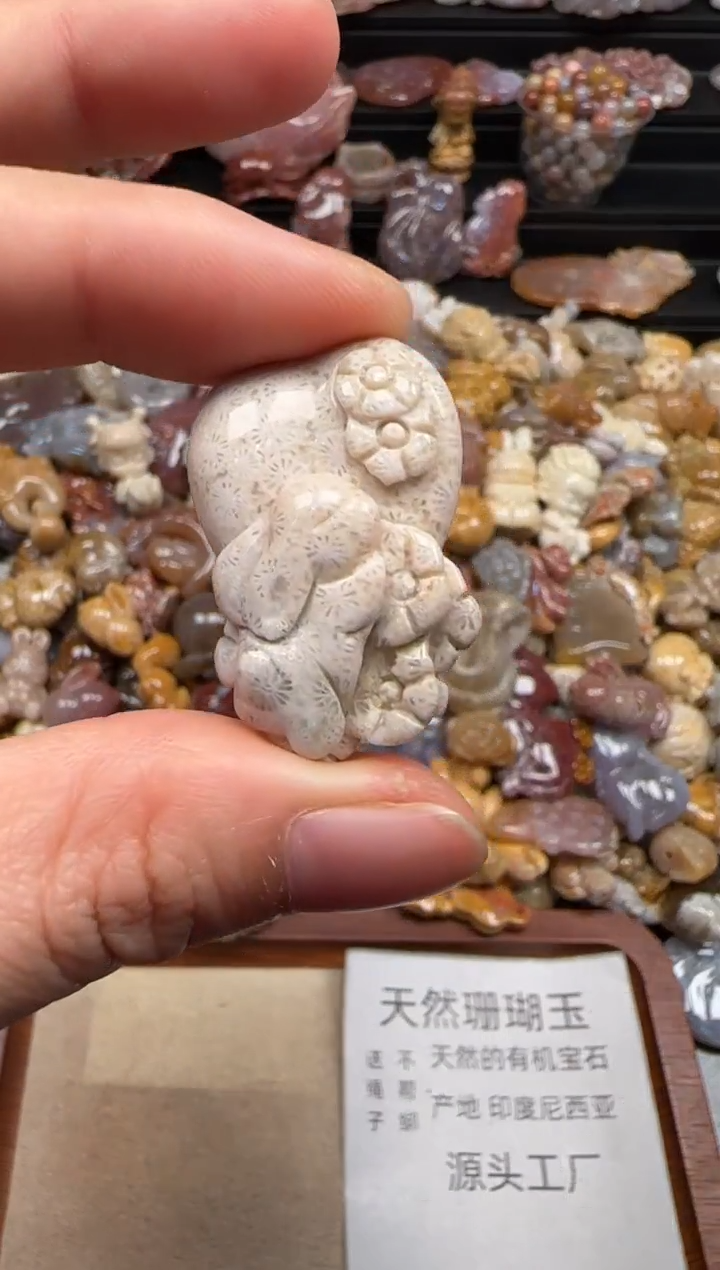 【闪购商品】硅化珊瑚（珊瑚玉）颈饰未镶嵌248