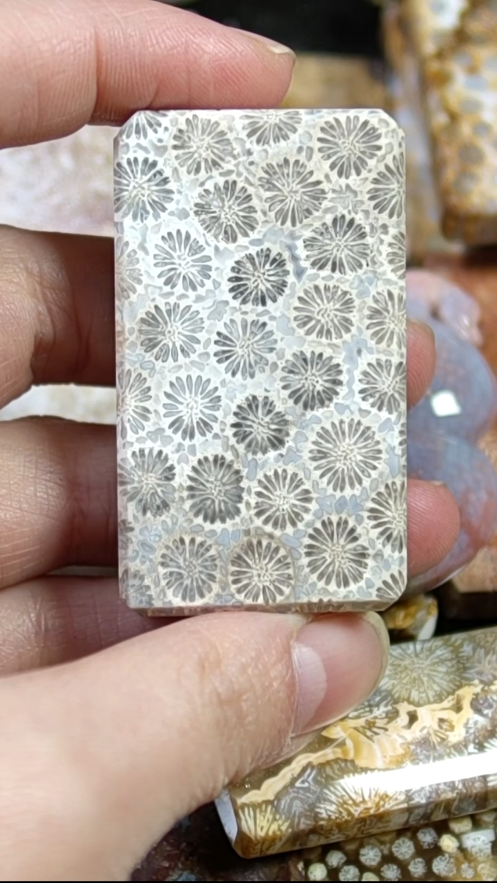 未镶嵌颈饰硅化玉漏哦 