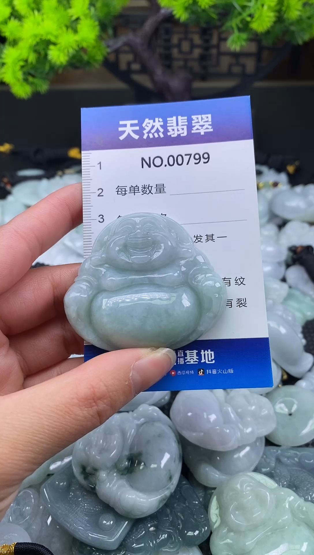 颈饰未镶嵌翡翠天然缅甸翡翠799