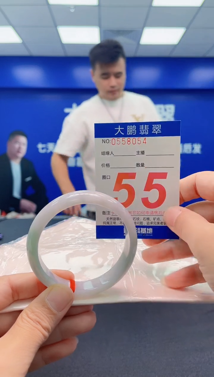 未镶嵌手镯翡翠AAAAAAAAA
