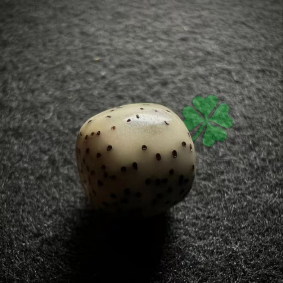 11112222C5星月单圈一条